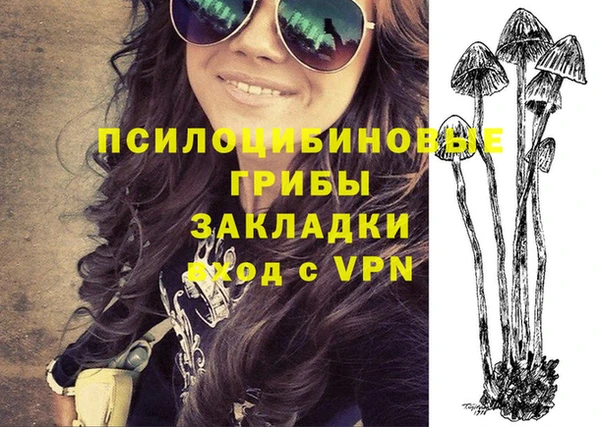 гидропоника Балахна