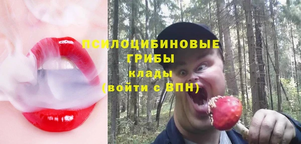 гидропоника Балахна