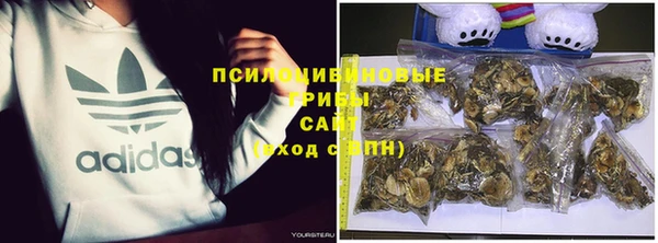 мяу мяу кристалл Ельня