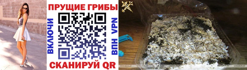 Псилоцибиновые грибы ЛСД  где найти   Лесной 